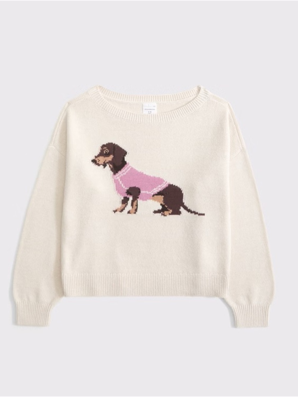 Abercrombie Kids Daschund Sweater